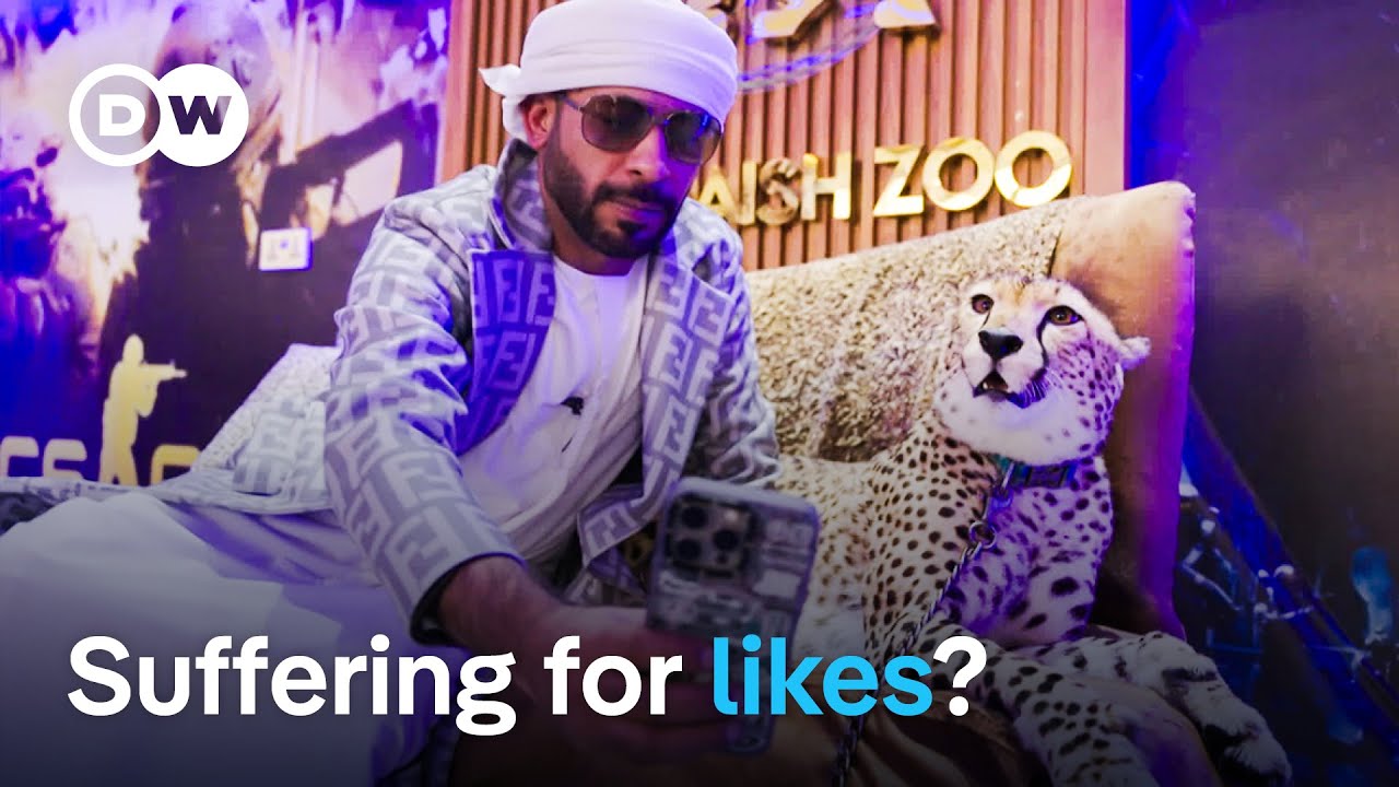 Petfluencing Ethics: Animal Welfare Behind Instagram Fame