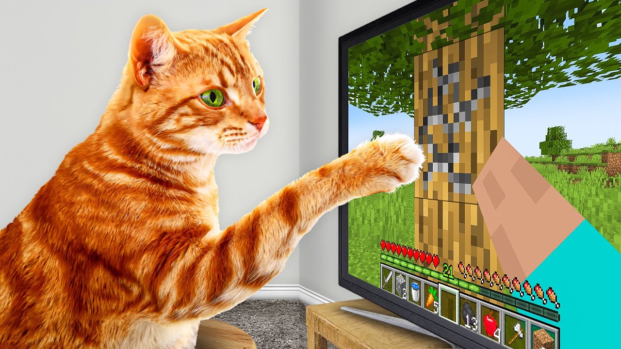 Minecraft Cat Training Guide: Real vs Virtual Pets