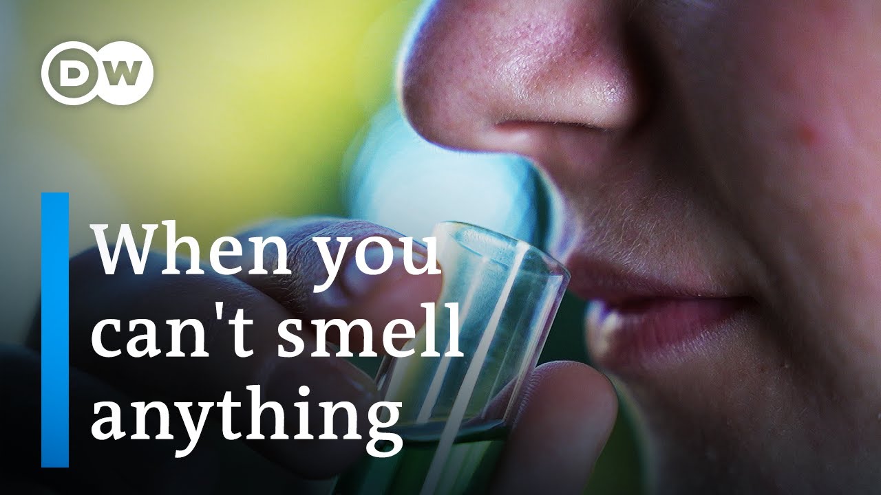 Life Without Smell: Impacts and Hope for Anosmia