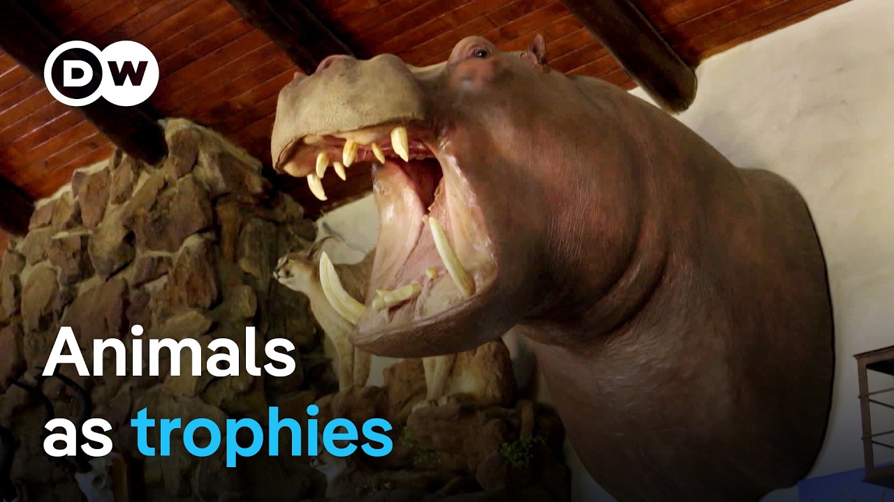 Trophy Hunting: Conservation Solution or Ethical Problem?