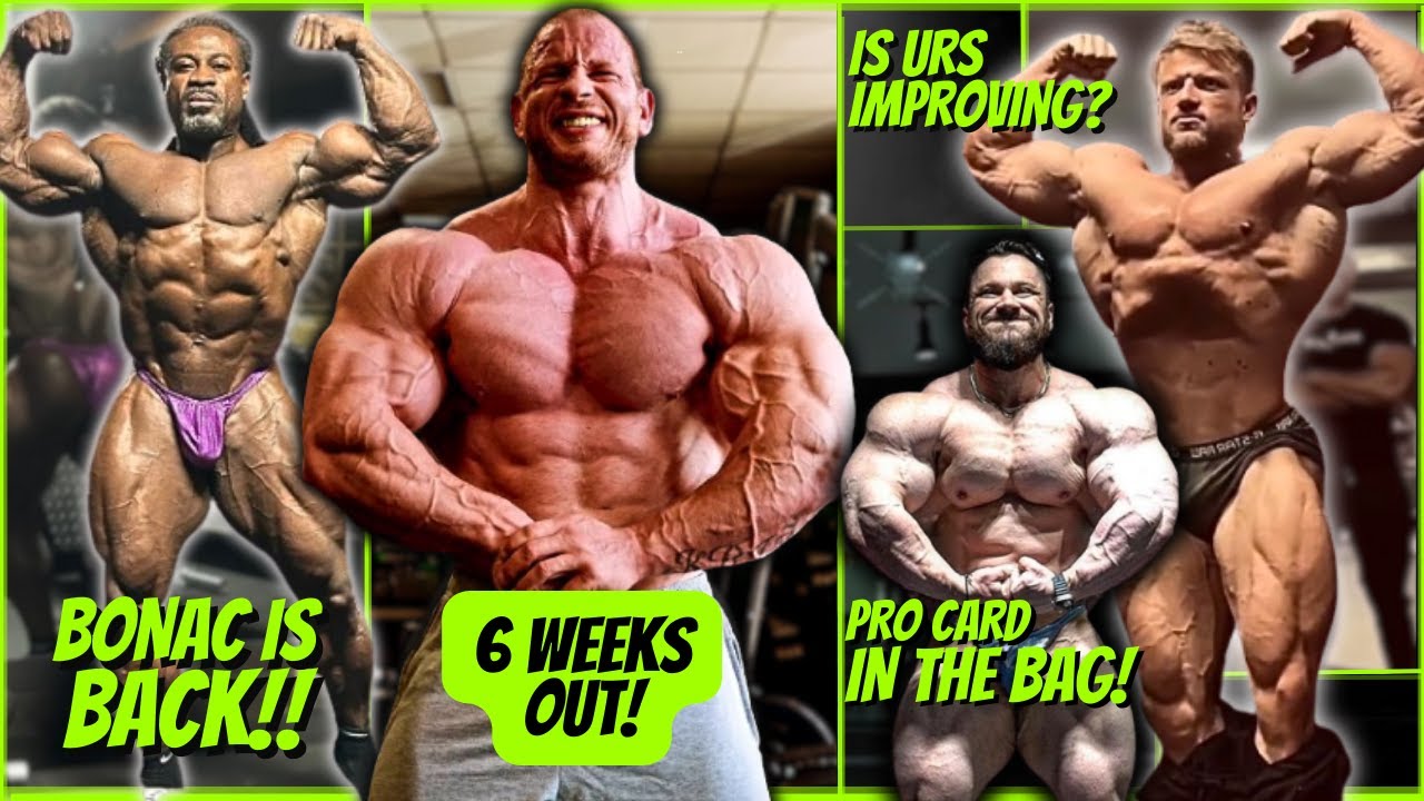 Top Bodybuilders' Competition Updates & Expert Analysis