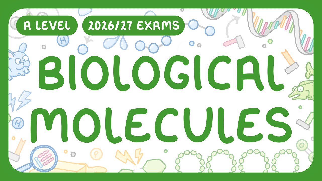 Biological Molecules: Complete Guide to Structures & Reactions