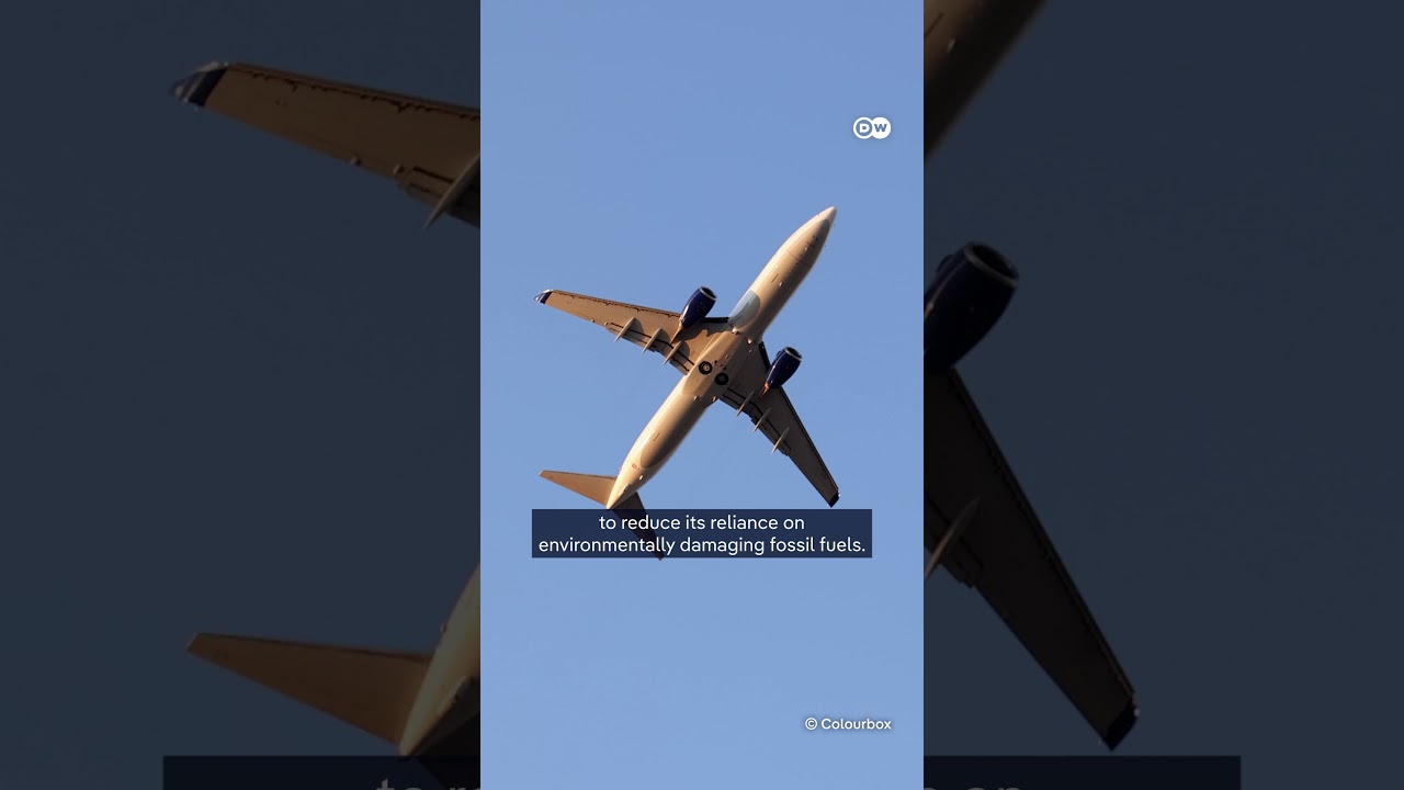 Rolls-Royce Trent 1000 Engine: Size, Power & Sustainability