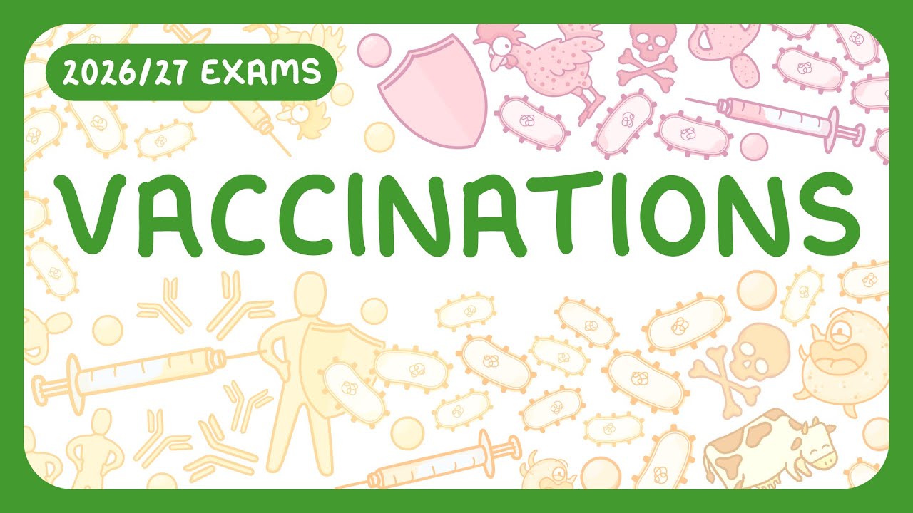 How Vaccines Work: Benefits and Risks Explained