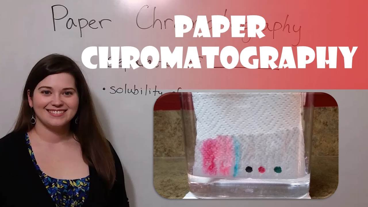 Paper Chromatography: Separate Ink Pigments at Home