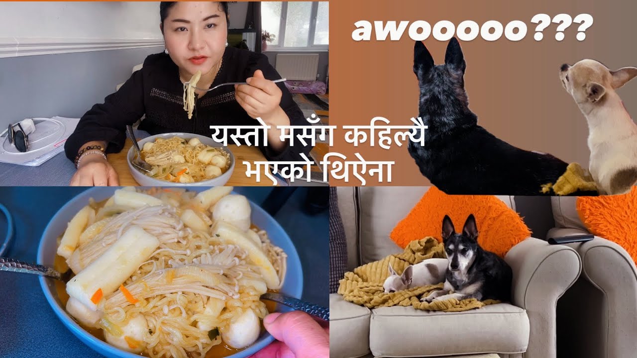 My Perfect Solo Night Routine: Noodles, Movies & Cozy Vibes