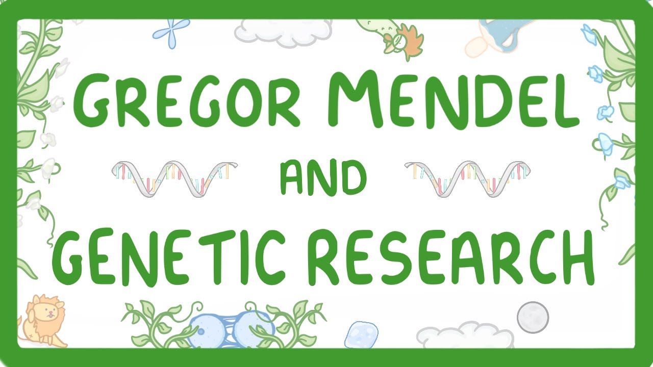 Gregor Mendel: How His Pea Experiments Founded Genetics