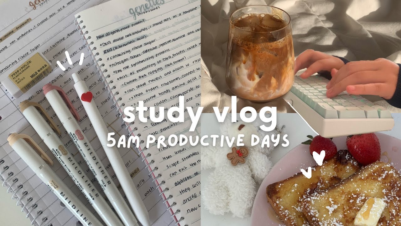 Boost Productivity: Cozy Study Routine & Wellness Tips