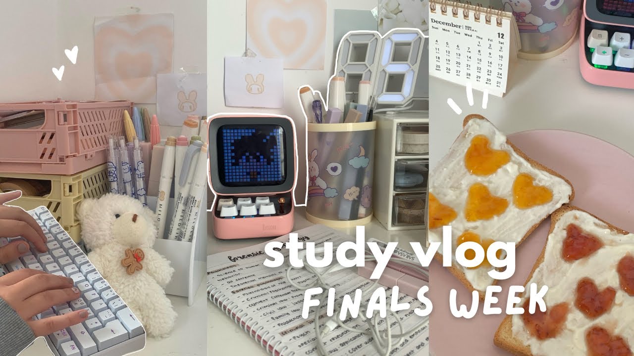 Boost Productivity: Effective Study Routine & Tools for Students