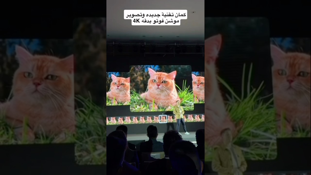 Hasselblad Motion Photos: Capture Perfect Moments on Vivo Phones