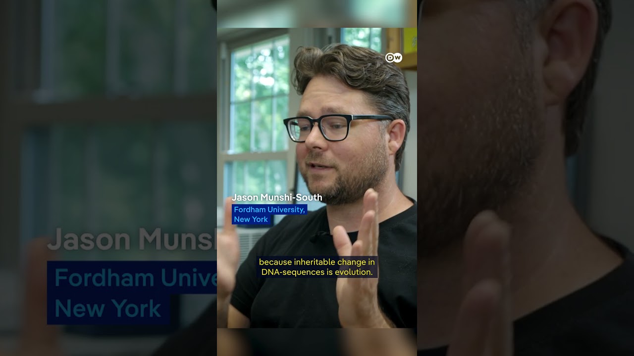 Are Cities Forcing Animals to Evolve Faster?