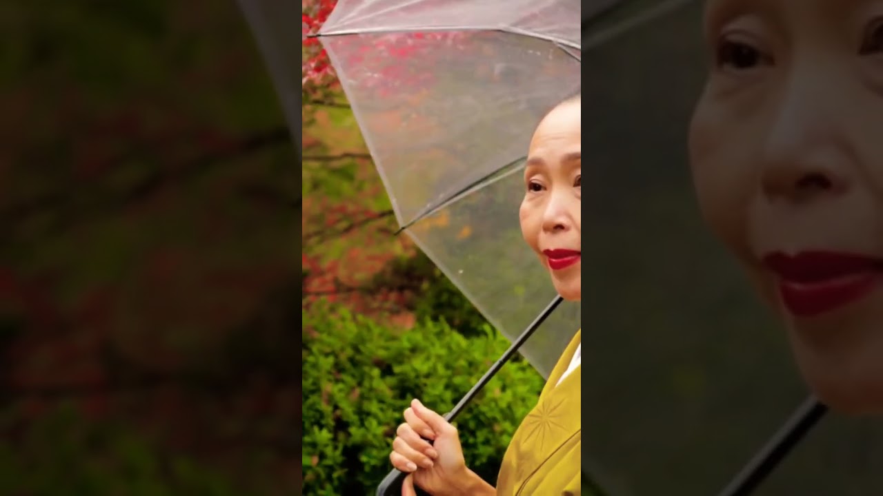 5 Essential Washoku Principles: Japanese Cuisine Artistry Explained