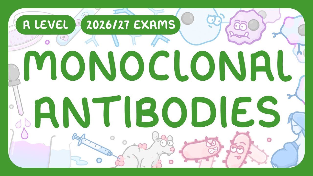 Monoclonal Antibodies Explained: ELISA Tests & Hybridoma Method
