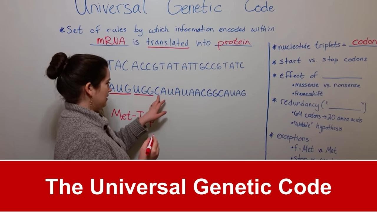Universal Genetic Code: How DNA Encodes Proteins
