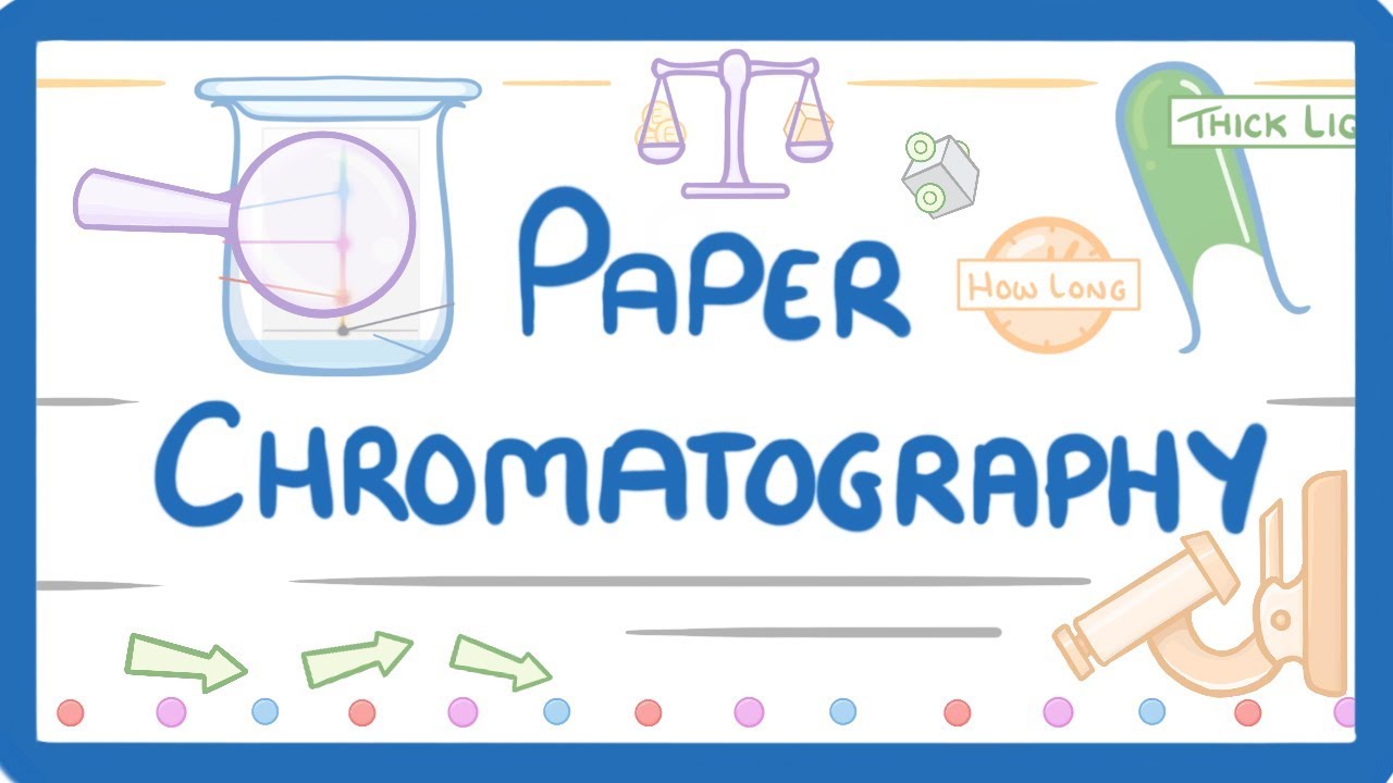 Paper Chromatography Guide: Theory, Steps & RF Calculation
