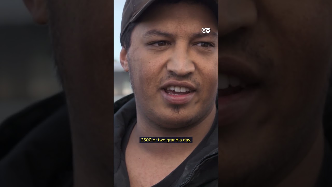 High-Risk Abalone Diving: $2K Daily vs Shark Attacks