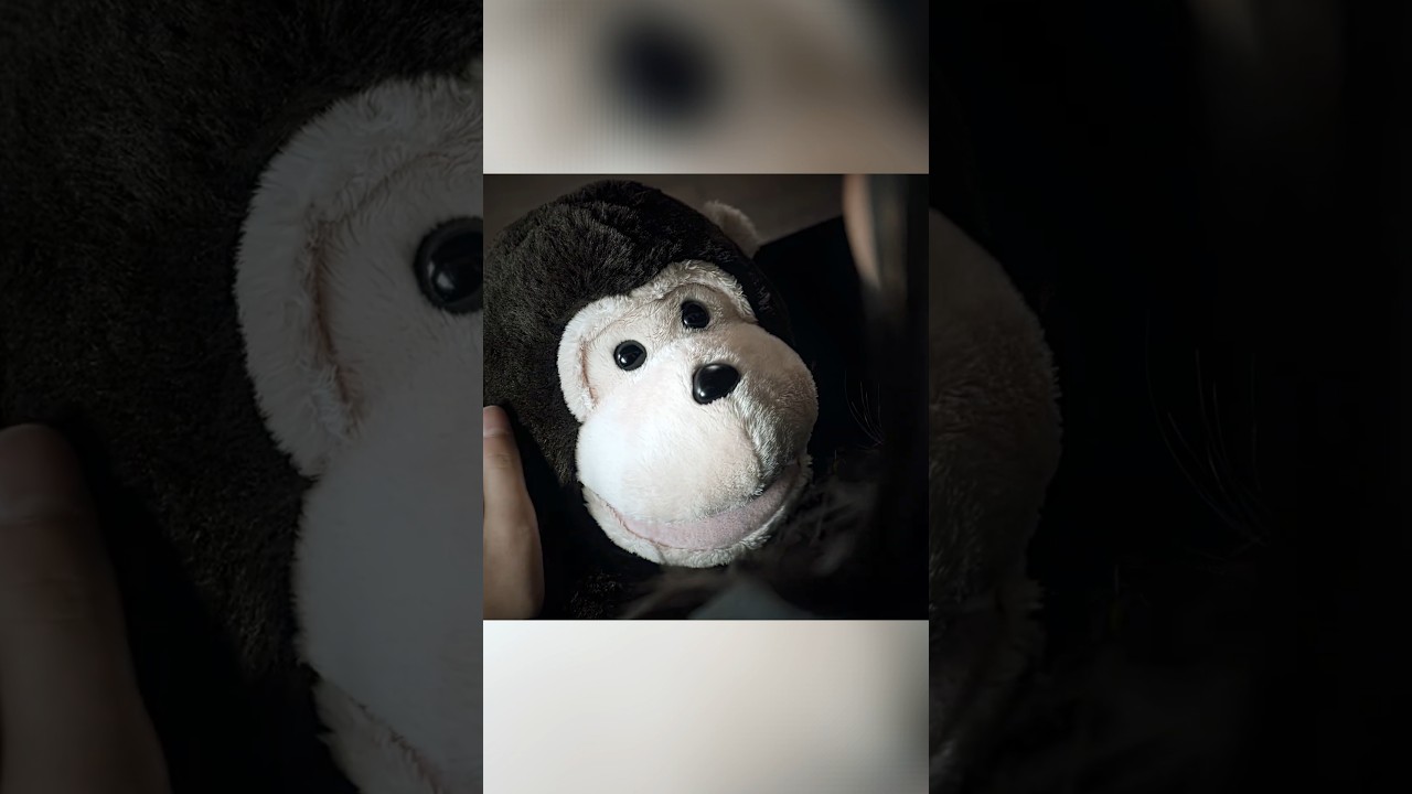 How I Survived Abuse and Found Justice