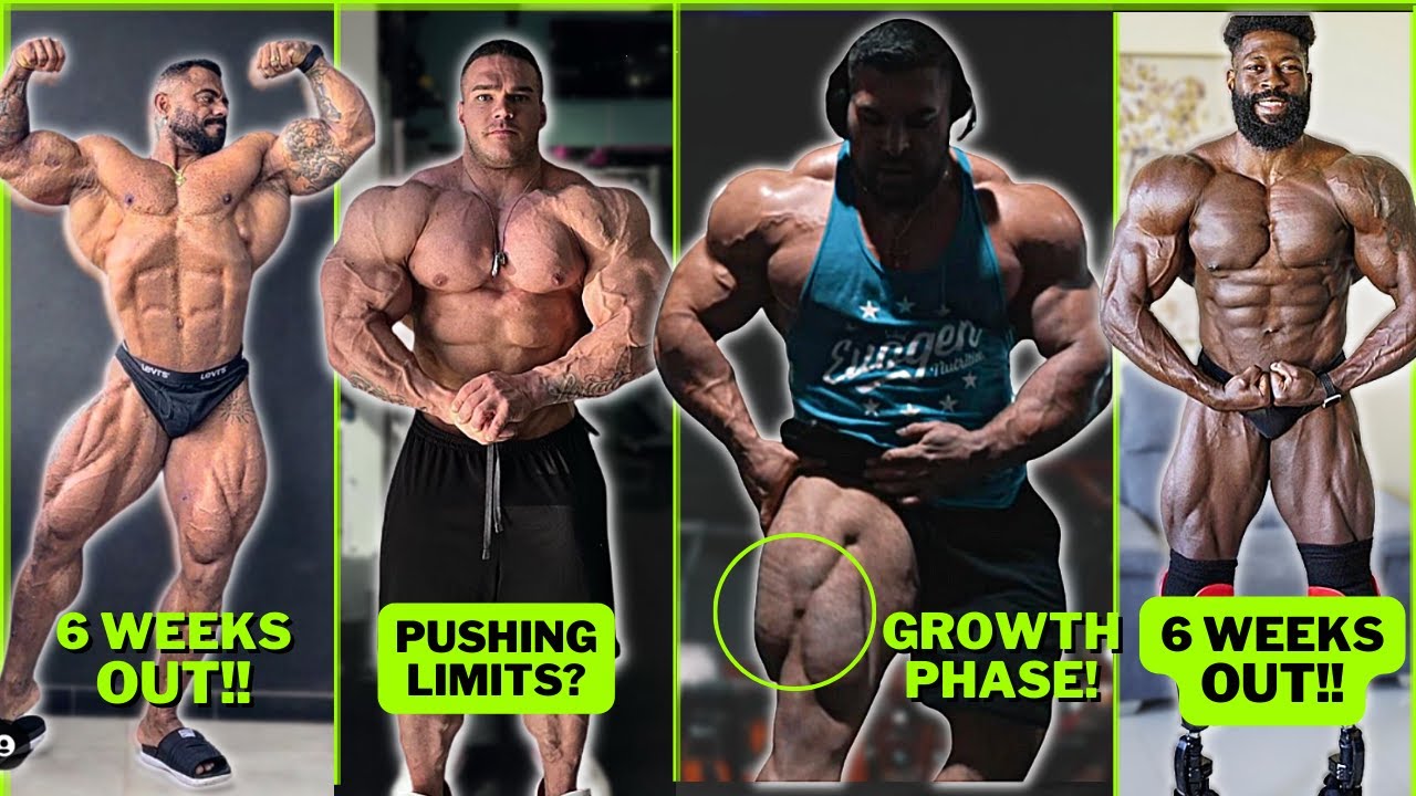 Elite Bodybuilders' Physique Updates: Olympia Prep Insights