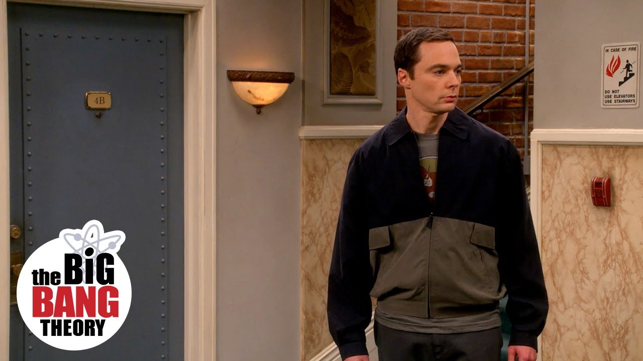 Buridan's Ass Paradox Explained: Philosophy Through Big Bang Theory