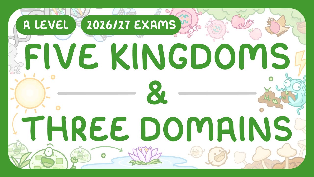 Understanding Biological Classification: Kingdoms vs Domains
