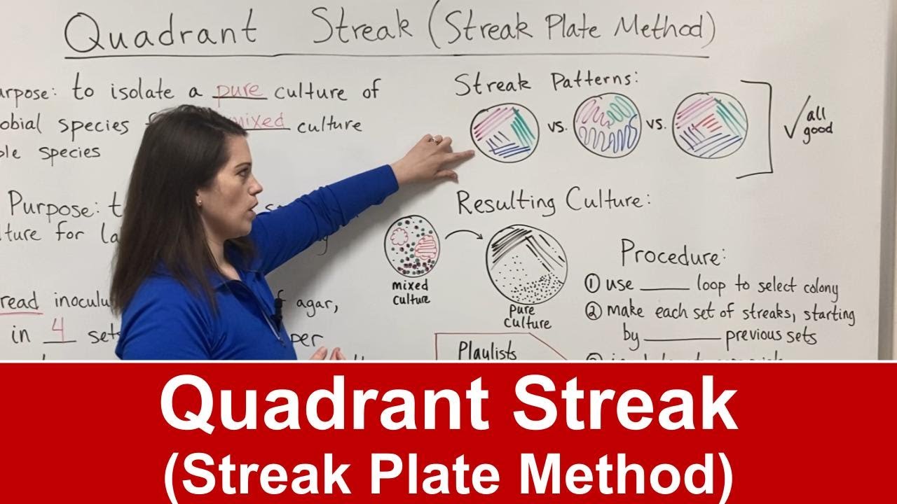 Master Quadrant Streaking: Isolate Pure Bacterial Cultures in 4 Steps