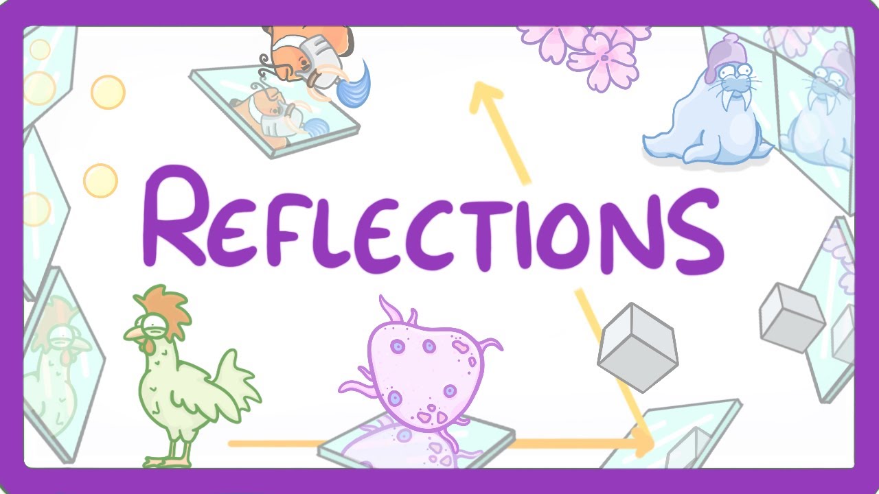 Master Wave Reflection & Ray Diagrams: Specular vs Diffuse