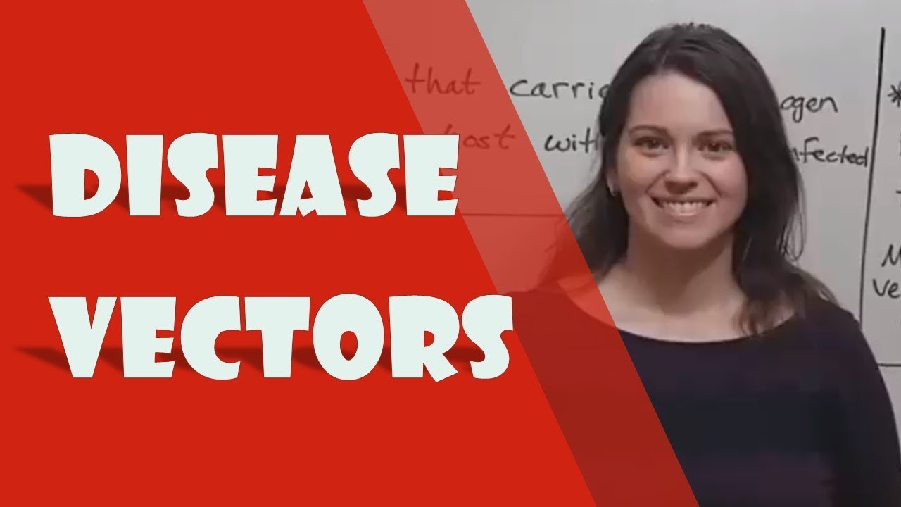 Biological vs Mechanical Vectors: Key Differences Explained