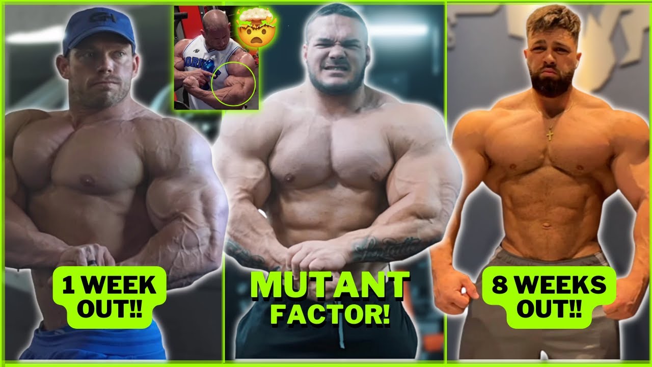 Top Bodybuilders' Competition Prep Analysis: Olympia & Pro Updates