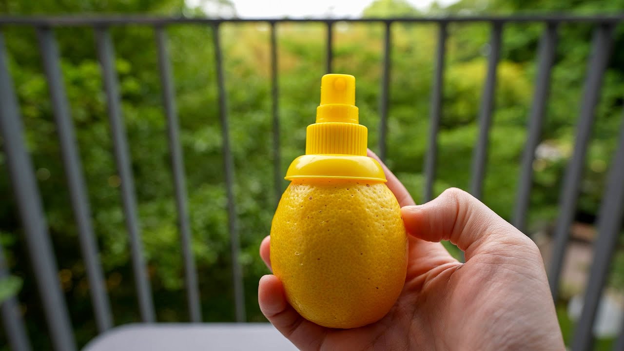 10 Japanese Food Gadgets Tested: Real Results & Surprises