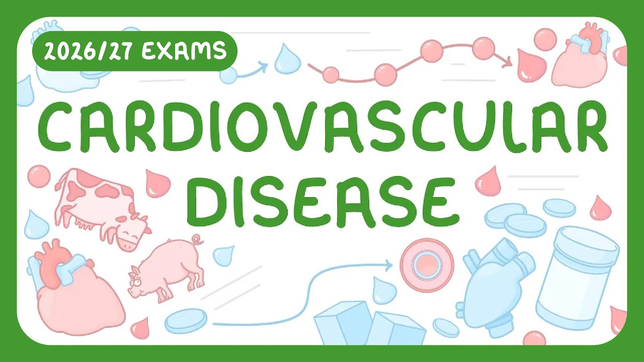Cardiovascular Disease Treatments Explained: Your Essential Guide