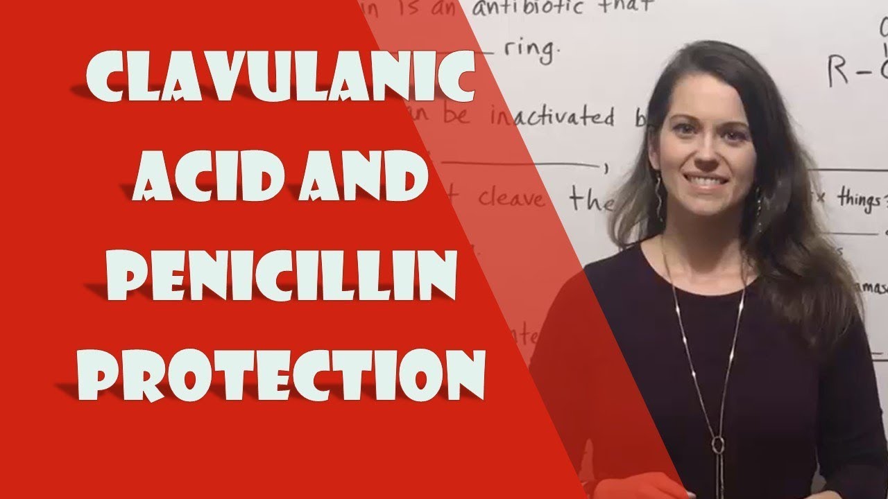 How Clavulanic Acid Protects Penicillin from Bacterial Resistance