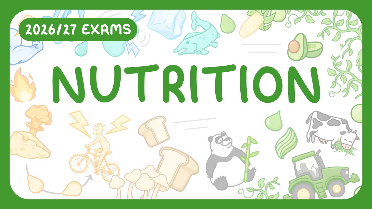 7 Essential Nutrients for a Balanced Diet Explained