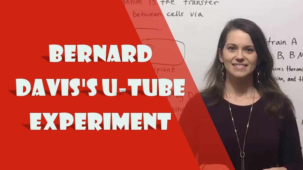 Bernard Davis U-Tube Experiment: Proof Direct Cell Contact Enables Conjugation