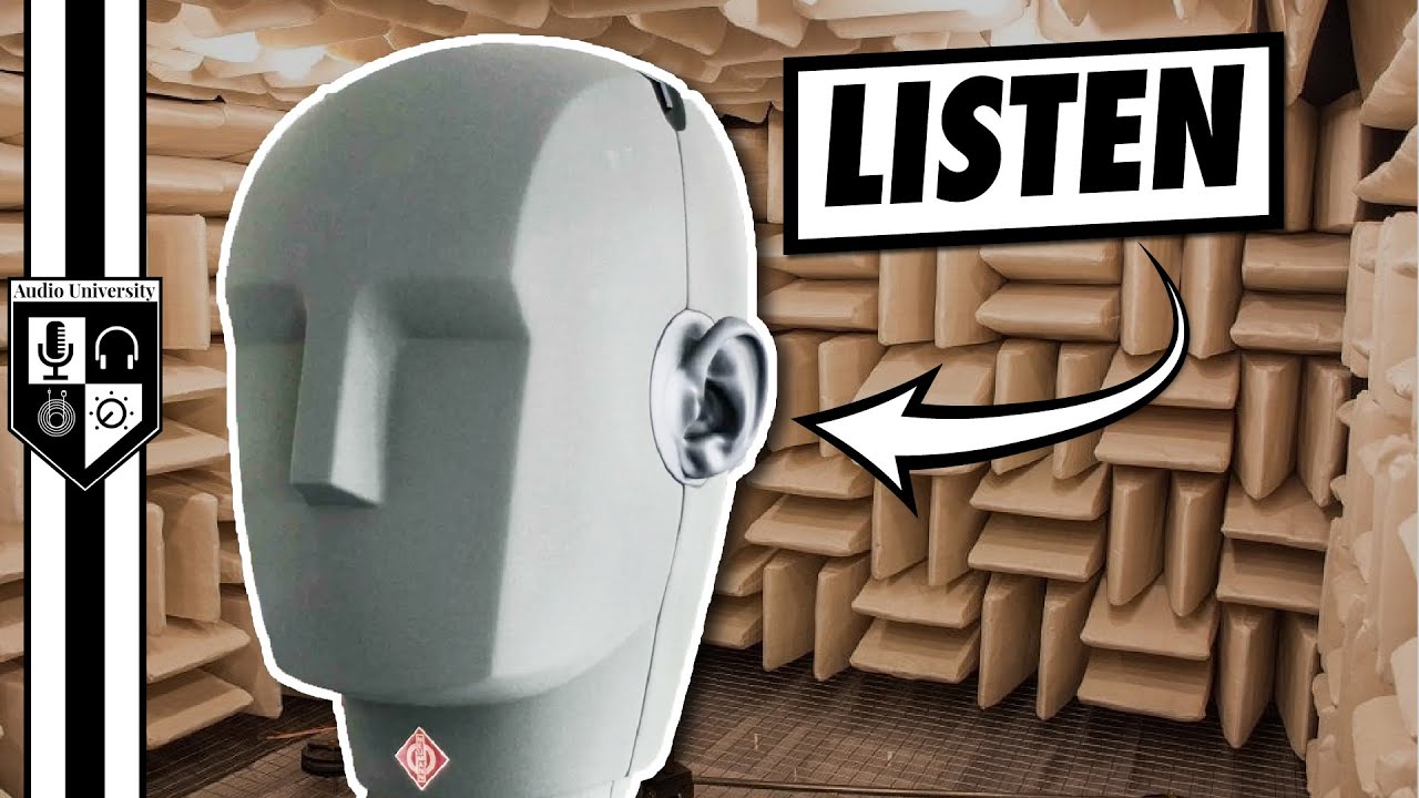 Why Anechoic Chambers Change Your Recording Perspective