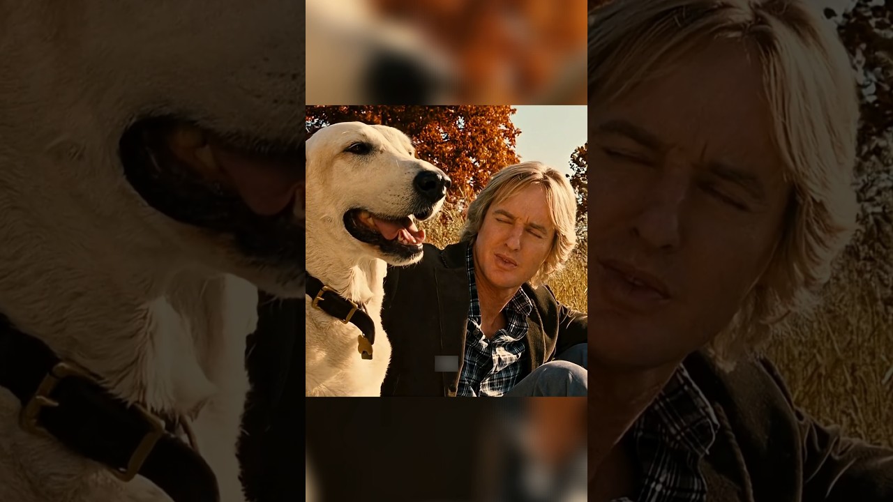 Heartbreaking Story of a Difficult Dog Who Became a Family's Guardian Angel