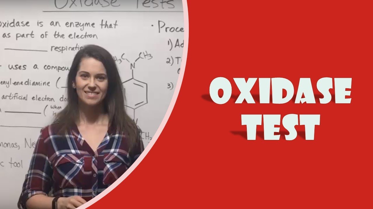 Oxidase Test: Procedure, Results & Clinical Applications