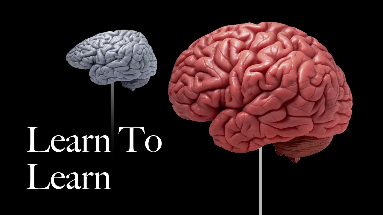 5 Proven Techniques to Master Any Skill Efficiently