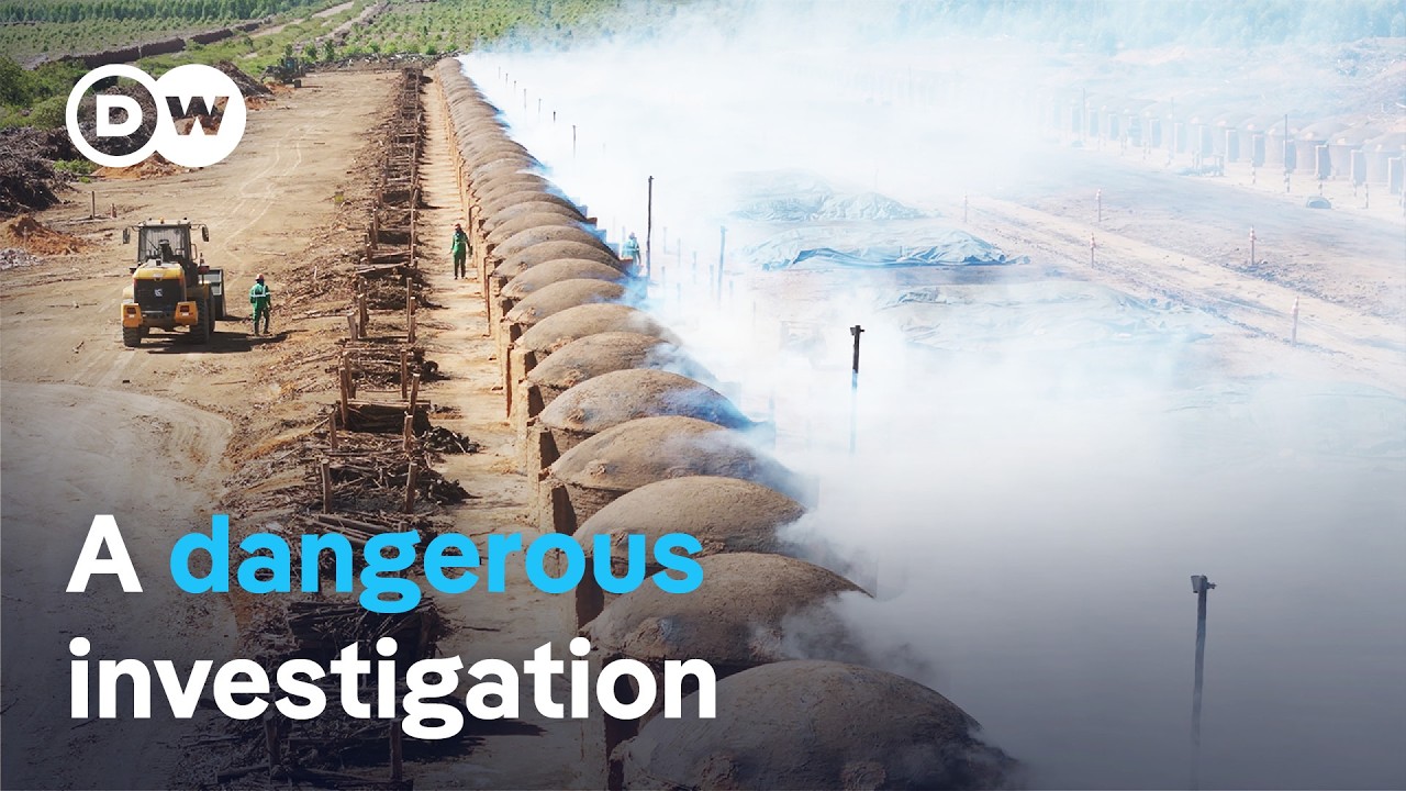 Brazil's Carbon Offset Crisis: Land Conflicts and Greenwashing