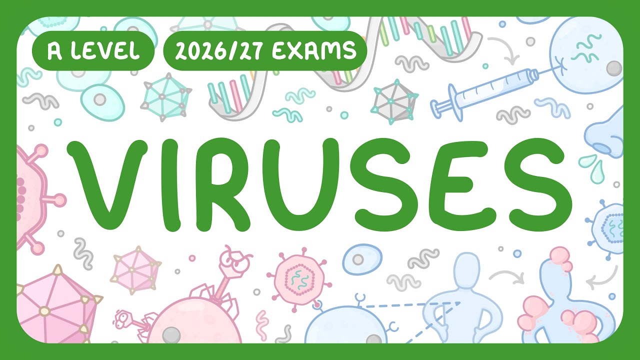 Virus Essentials: Structure, Replication & Key Traits