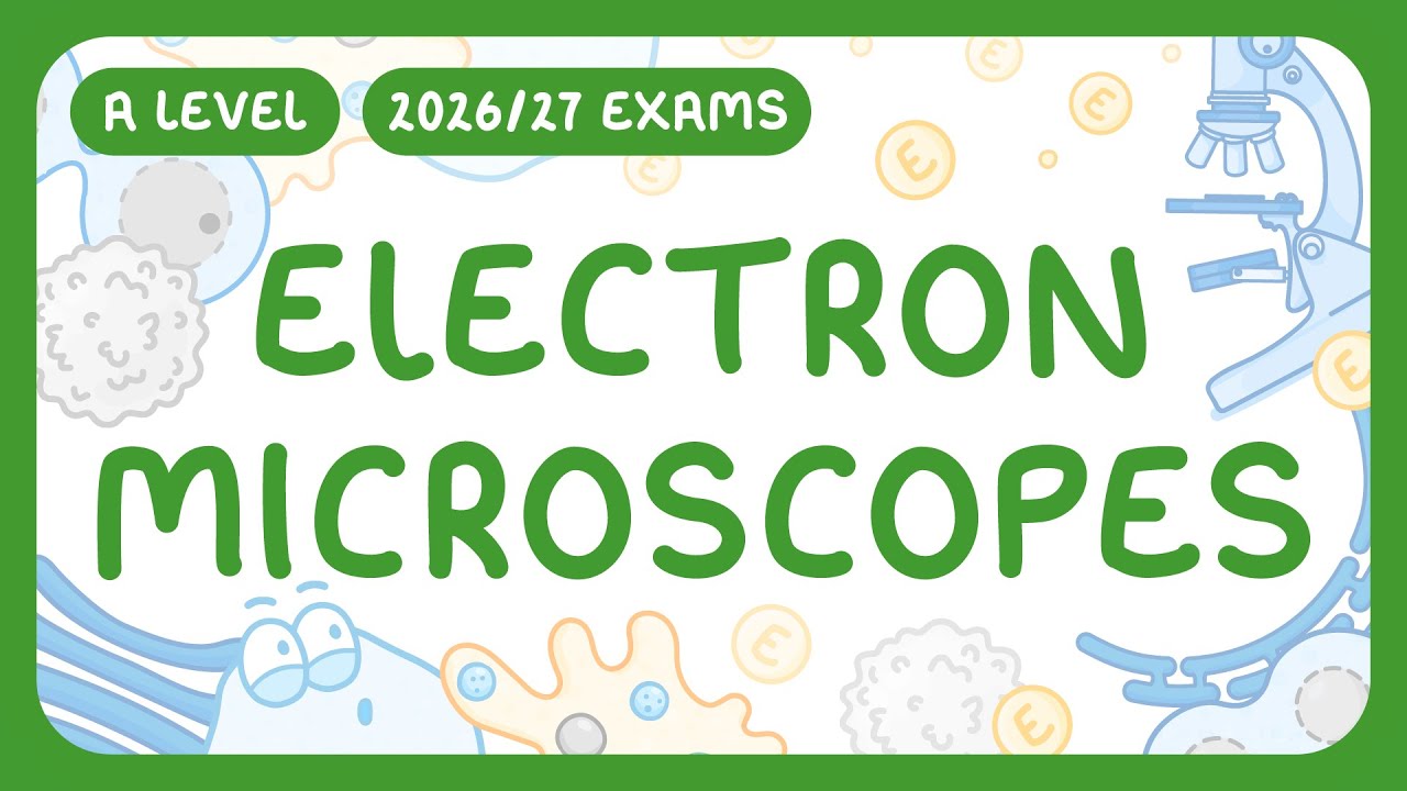 Electron vs Light Microscopes: Key Differences Explained