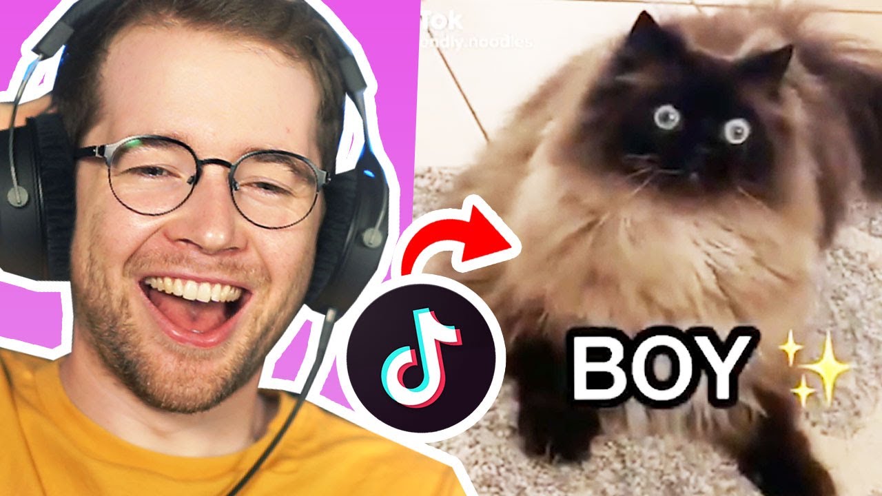 21 Viral TikToks That Redefine Weird (Compilation Breakdown)