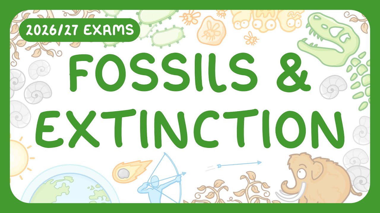 Fossils: Earth's Evolutionary Evidence and Formation Secrets