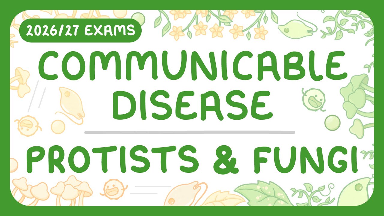 Fungi and Protists: Disease Causes and Prevention Strategies