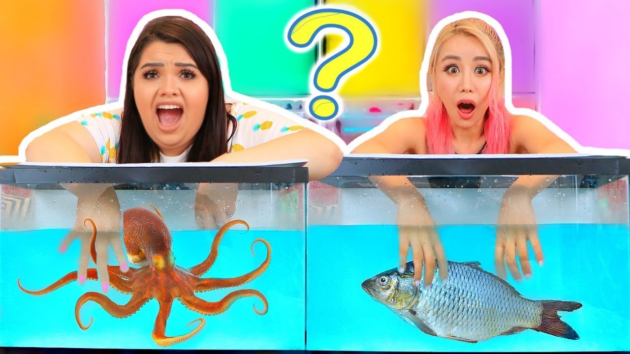 Underwater Box Challenge Fun with Creators