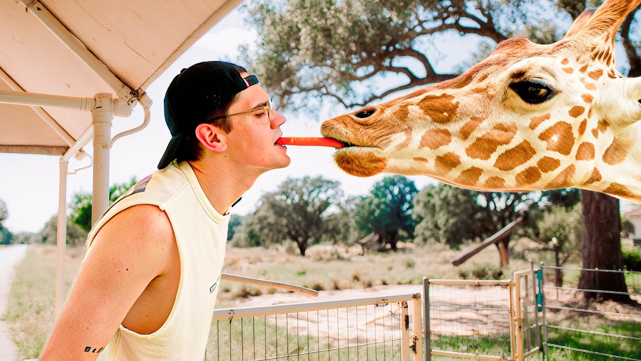 Bioparque Estrella Guide: Safari Tips & Animal Experiences