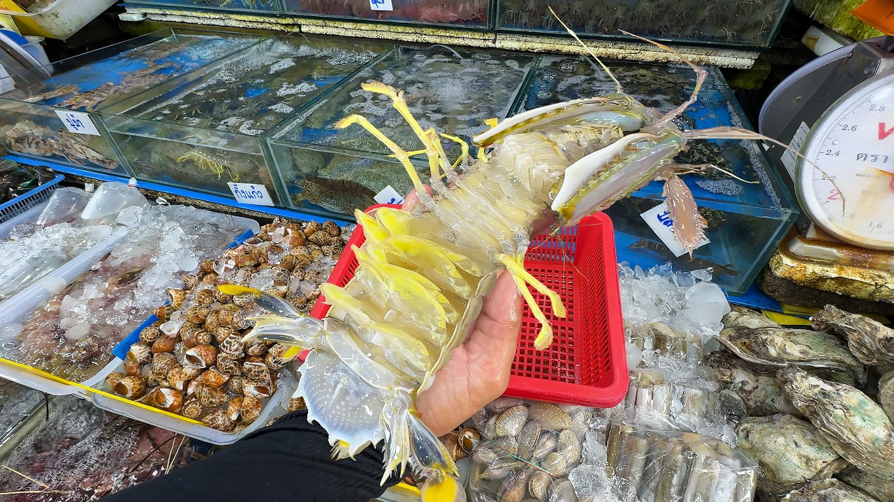 Phuket Seafood Market Guide: Bargaining Tips & Best Dishes