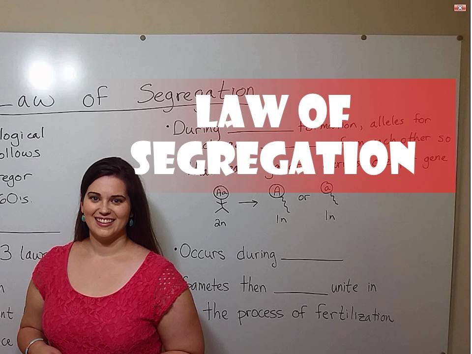 Mendel's Law of Segregation Explained in Genetics