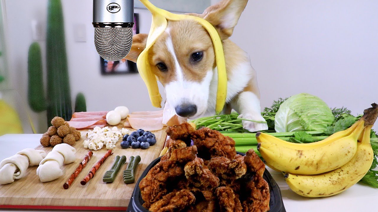 Why Dogs Reject Vegetables But Love Chicken
