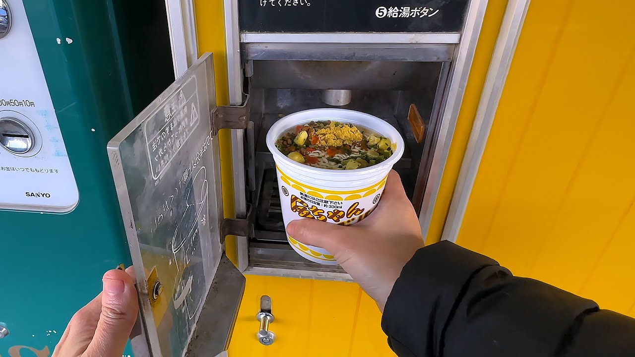 Japan's Unique Vending Machines: Beyond Drinks & Snacks