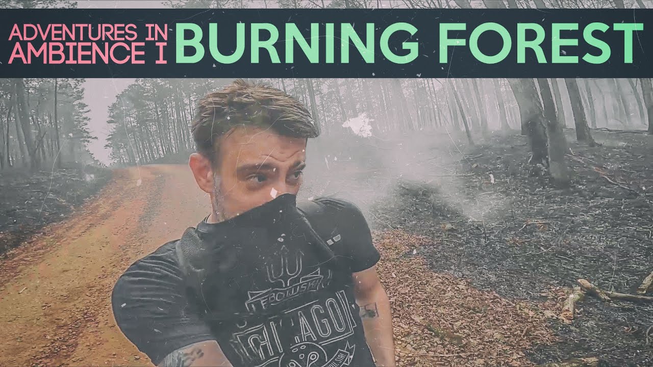 How to Record Truly Wild Nature Sounds: A Field Guide